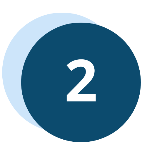 Icon 2