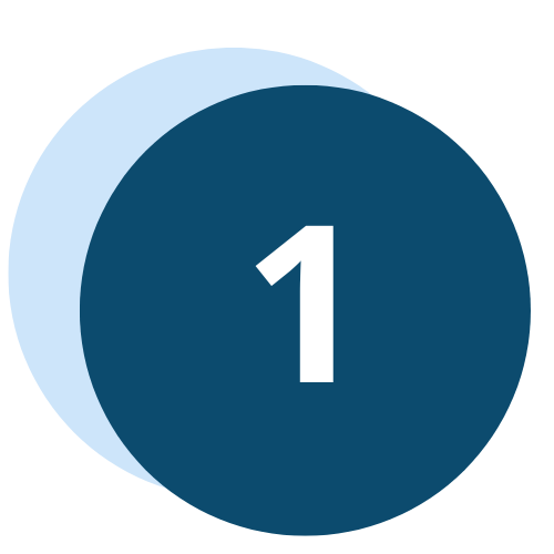 Icon 1